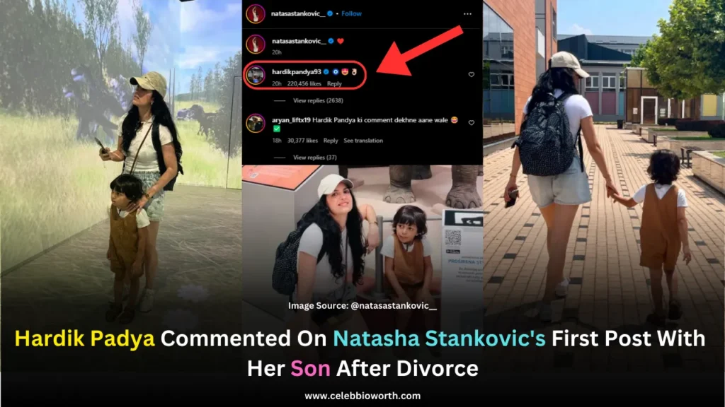 Hardik Padya Commented On Natasha Stankovic's First Post With Her Son After Divorce
